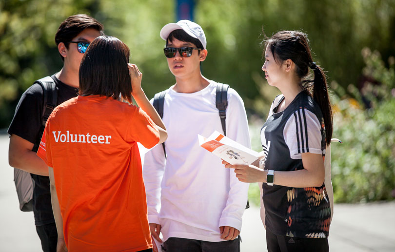Photo showing volunteers in action