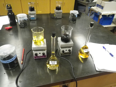 metal sorption experiment