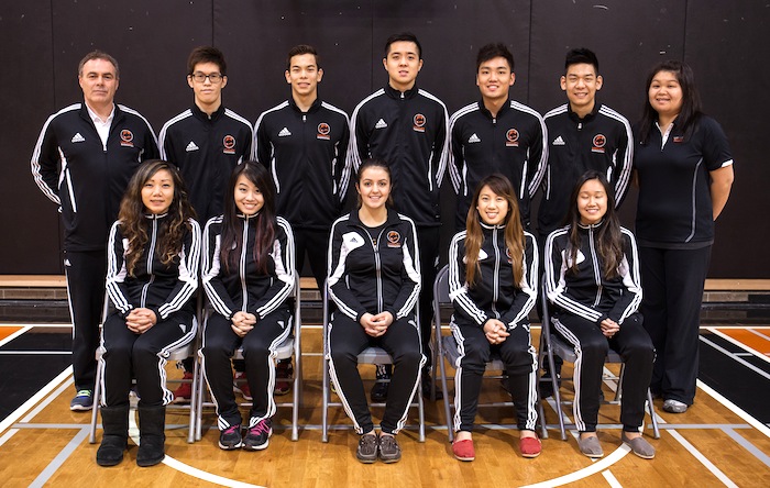 Falcons Badminton