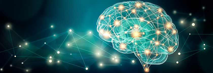 neuroscience-web.png
