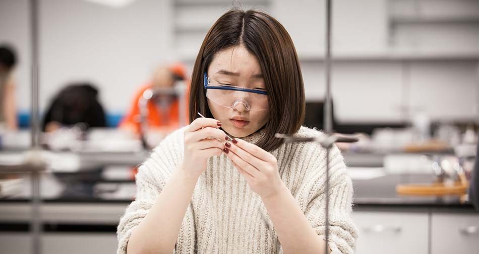 University-Transfer