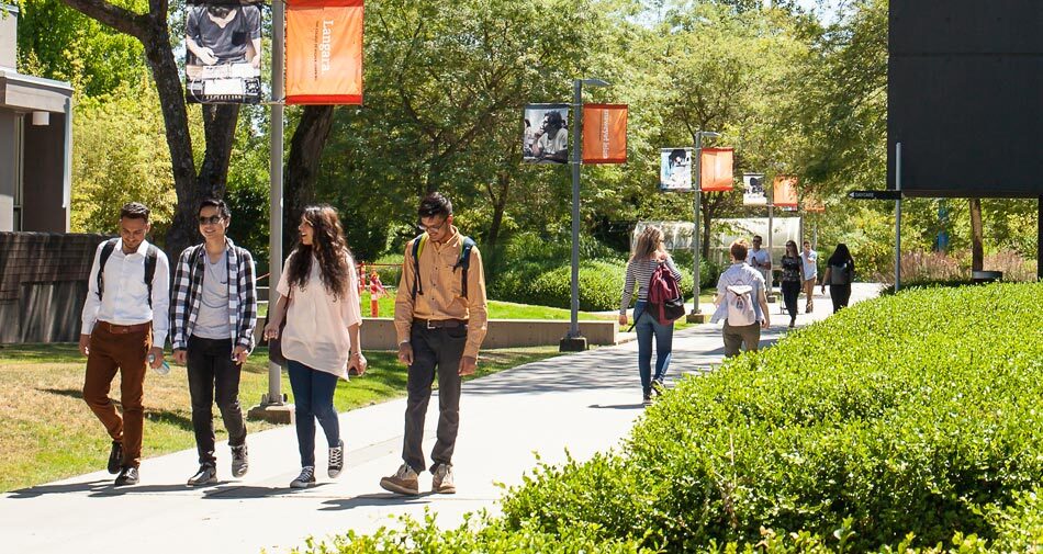 Summer at Langara